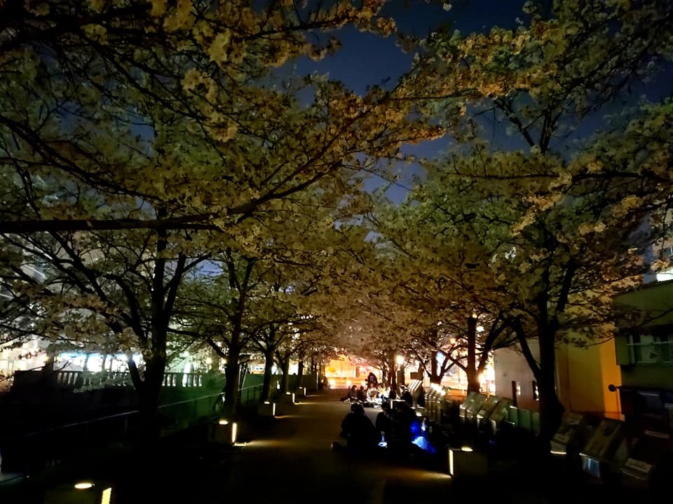 c0186691_17545471.jpg