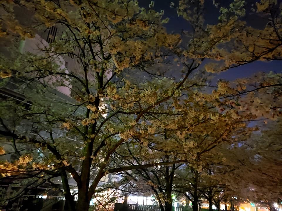 c0186691_17552401.jpg