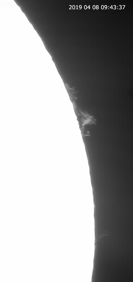 4月8日の太陽 久しぶりの大きな黒点!_e0174091_11195035.jpg