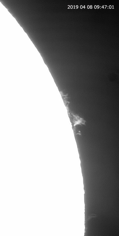 4月8日の太陽 久しぶりの大きな黒点!_e0174091_11195672.jpg