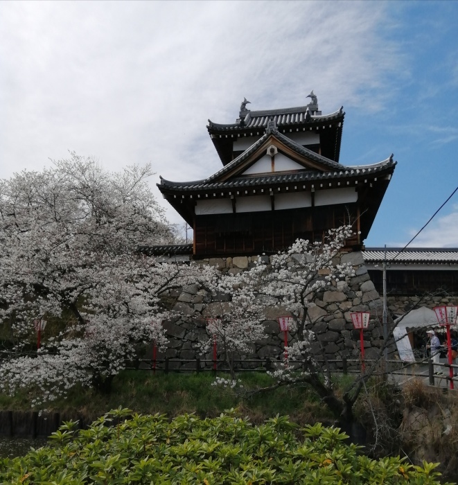 郡山城址の桜&#127800;祭り…_b0104092_17280727.jpg