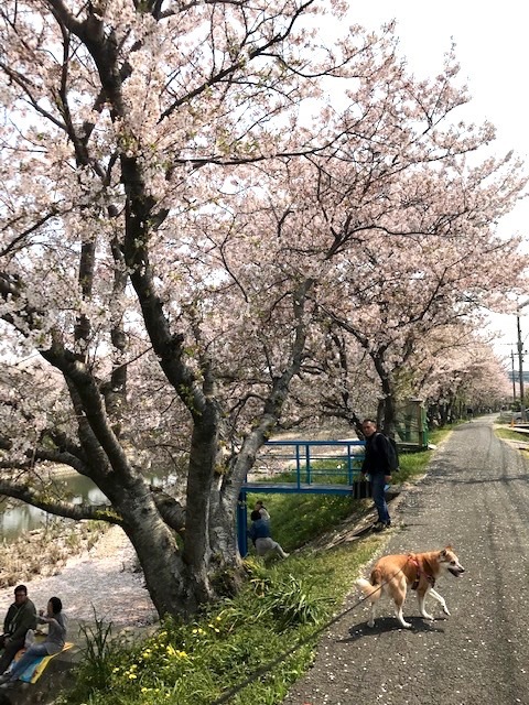本日4月8日（月）春吉店の営業はお休みです。博多一刻堂は営業してます。_f0232994_10152383.jpg