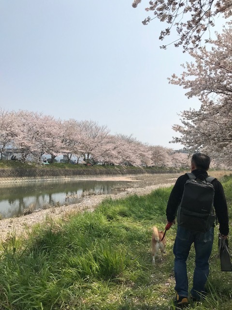 本日4月8日（月）春吉店の営業はお休みです。博多一刻堂は営業してます。_f0232994_10192573.jpg