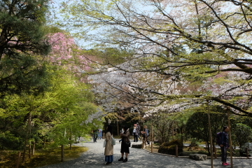 c0339296_01381537.jpg