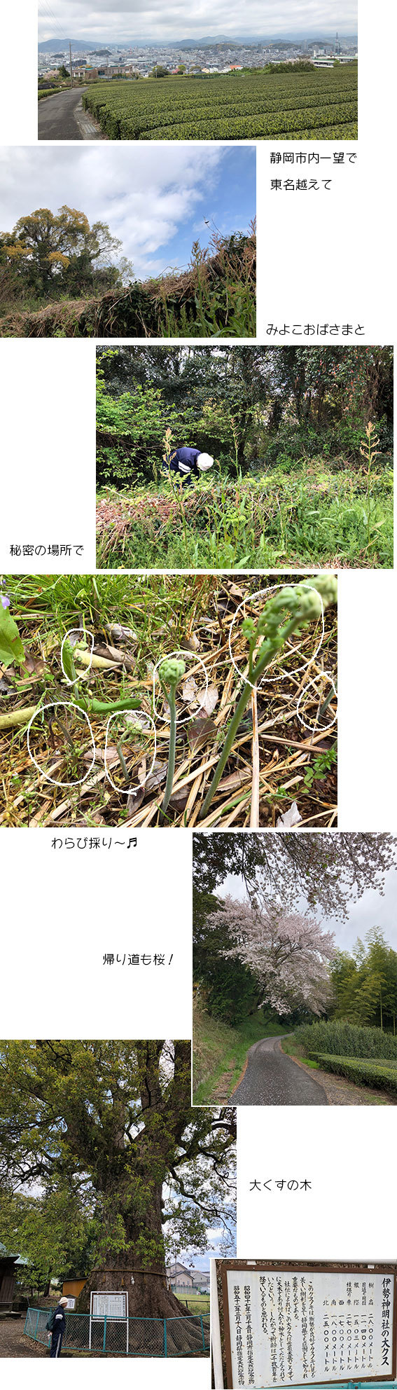 d0071596_22023860.jpg
