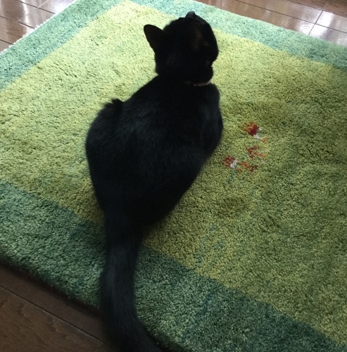 なに思う_e0358096_17410267.jpeg
