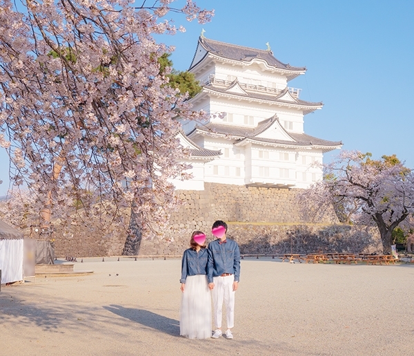小田原城址公園の桜が満開でした_b0145398_00203034.jpg