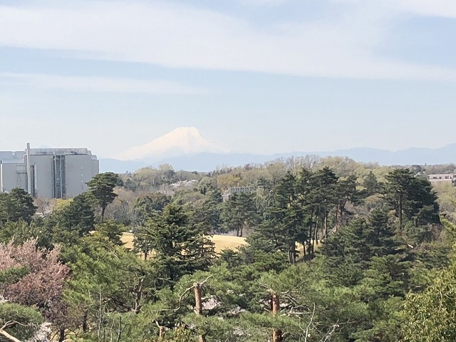 新年度に始めたこと_c0124100_12334311.jpg