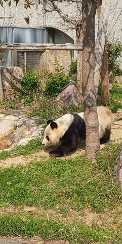 c0152002_10380727.jpg