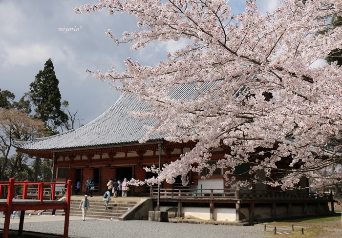 a0123003_13132286.jpg