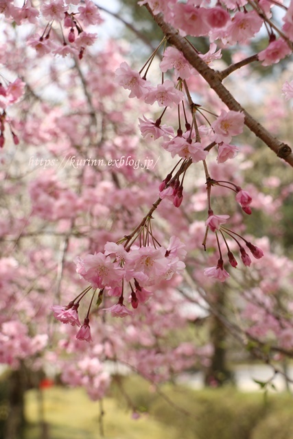 a0123003_13175191.jpg