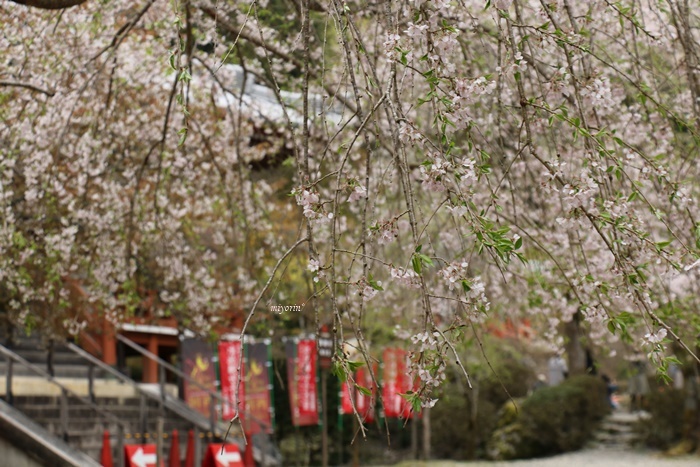 a0123003_13212738.jpg