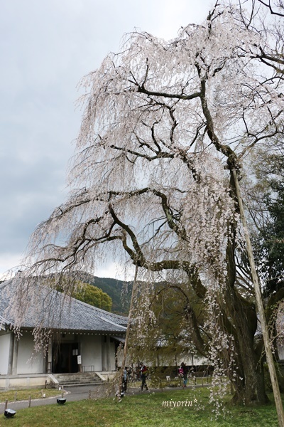 a0123003_13271279.jpg
