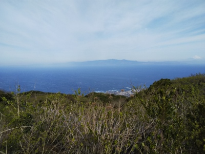b0040606_1749263.jpg