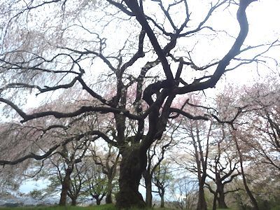 b0126307_10105988.jpg