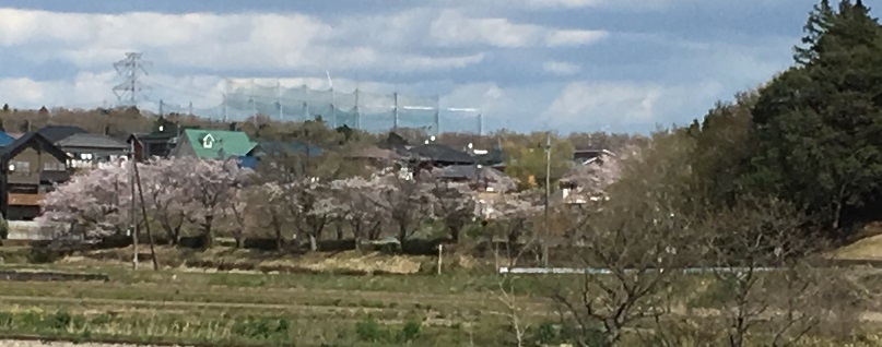 f0162908_19365348.jpg