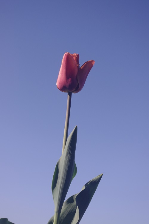 c0147909_07562616.jpg