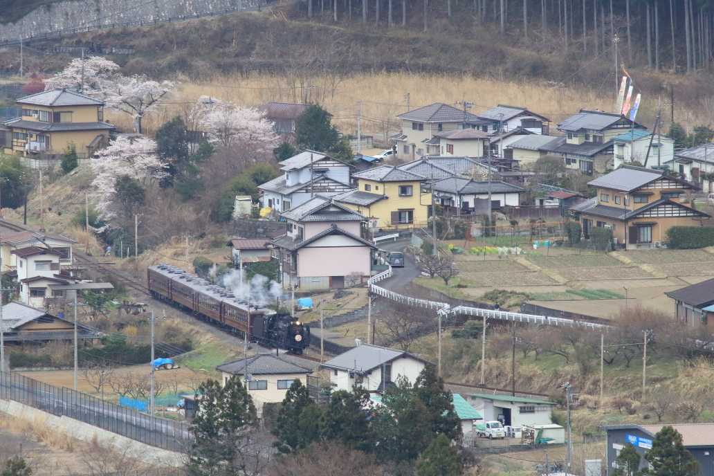 桜咲き白煙しょぼく鯉のぼり垂れさがる花曇りの日 - 2019年桜・秩父鉄道 -_b0190710_21221612.jpg