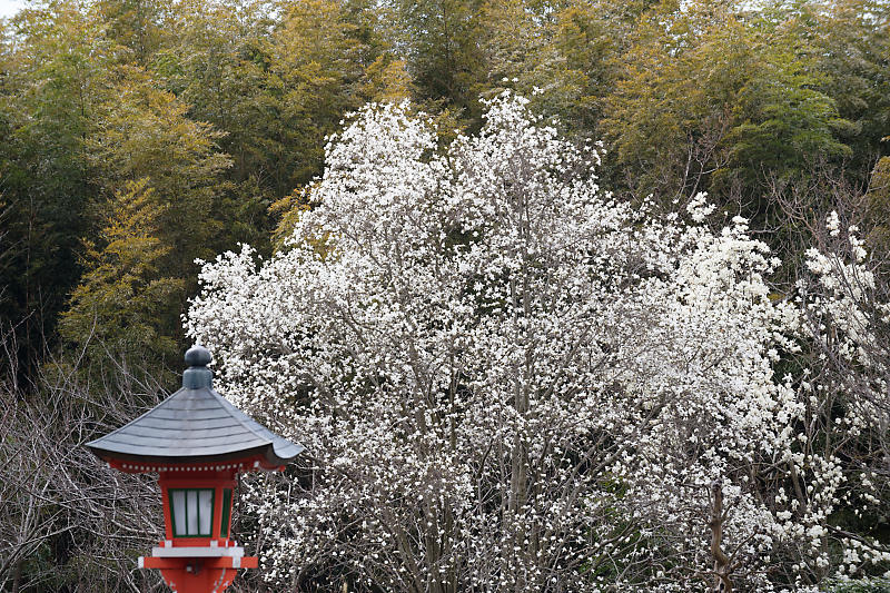 f0032011_21383024.jpg
