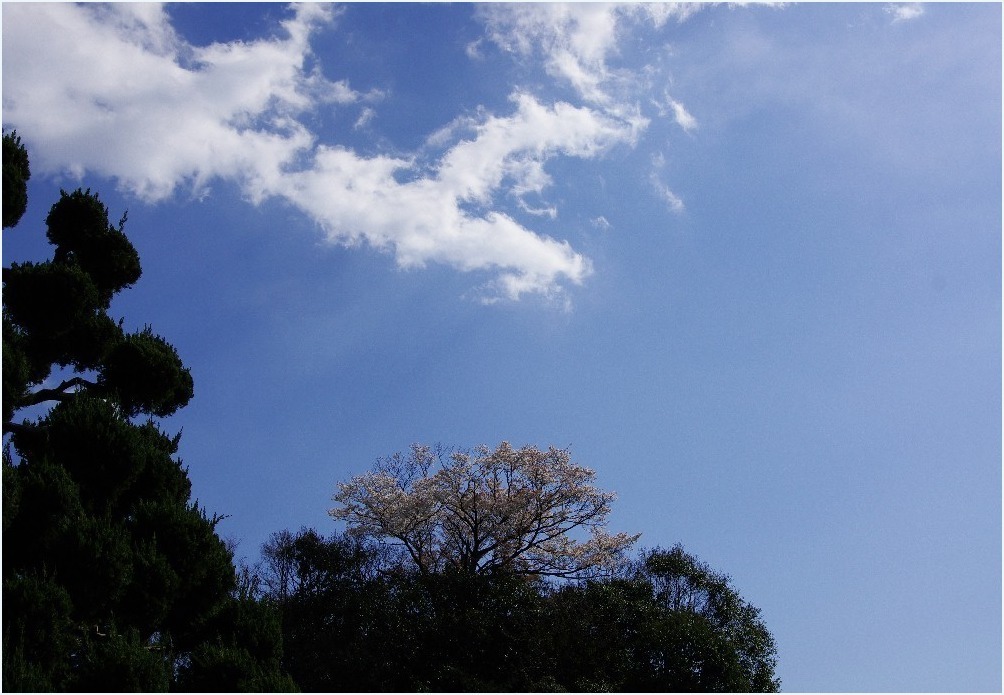 もうひとつの鎌倉_c0352813_10331689.jpg