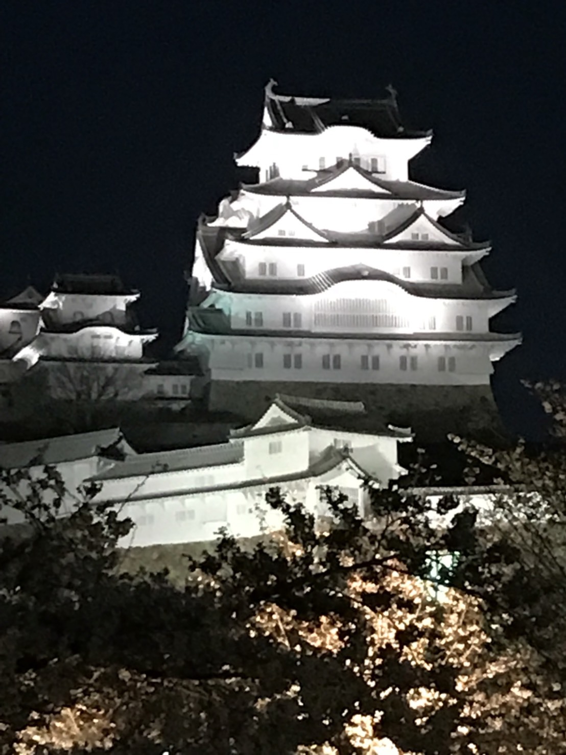 d0184114_20045434.jpeg