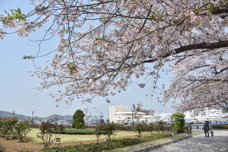 桜　2019　ヴェルニー公園　最終章_d0065116_21071169.jpg