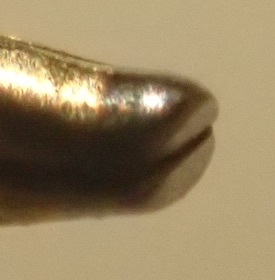 d0106518_11484261.jpg