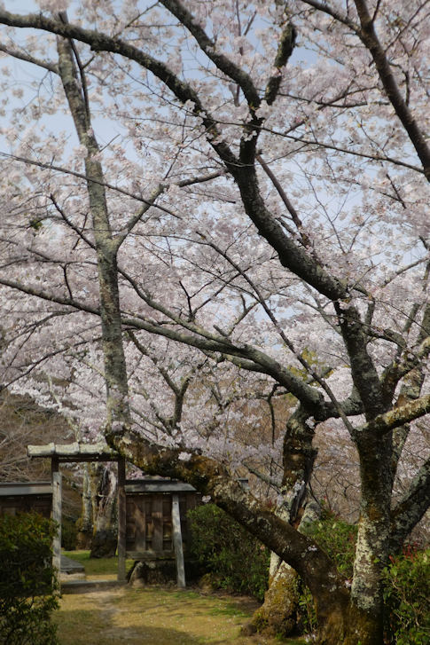 c0051620_1829476.jpg