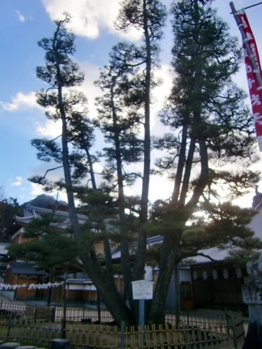 大願寺（広島県廿日市市）_c0219820_22490270.jpg