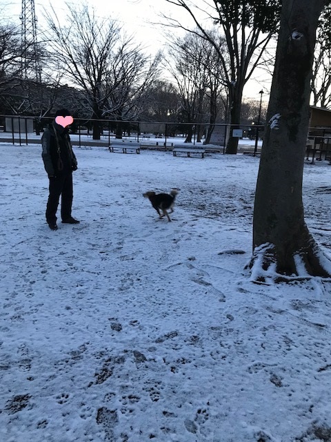 d0046821_21432712.jpeg