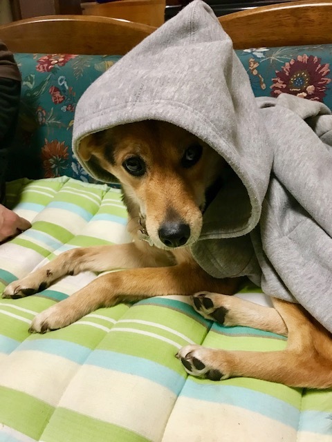 d0046821_21454242.jpeg