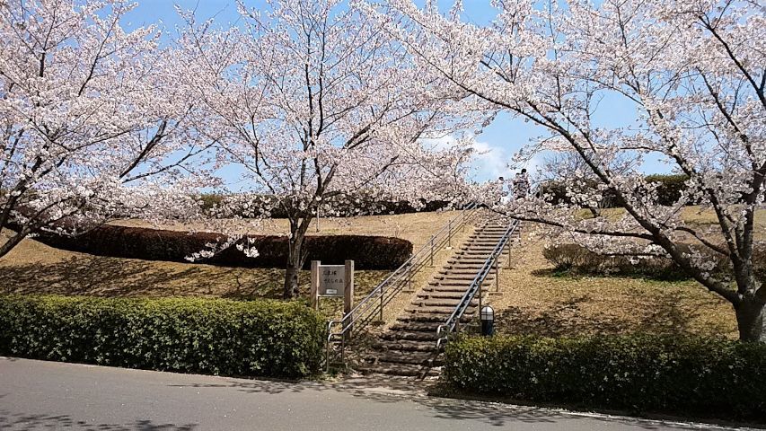 a0166324_16144400.jpg