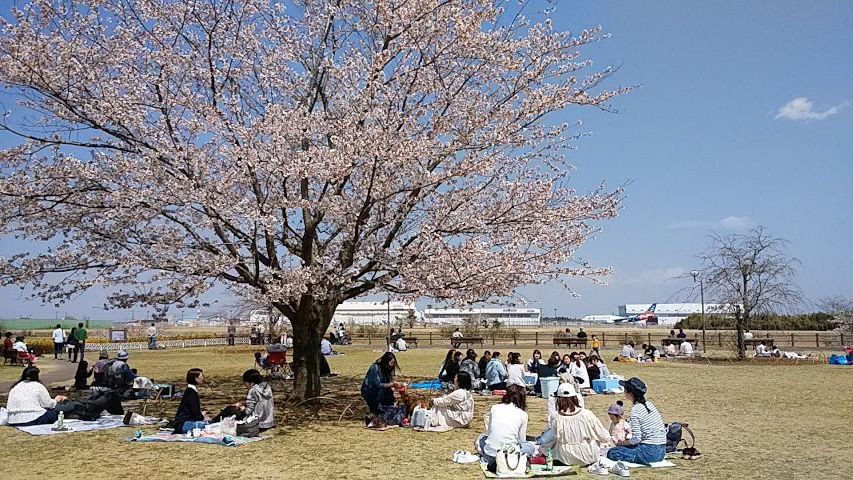 a0166324_16151587.jpg