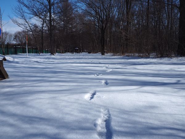 b0174425_20192402.jpg