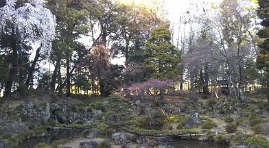 a0108328_16015655.jpg