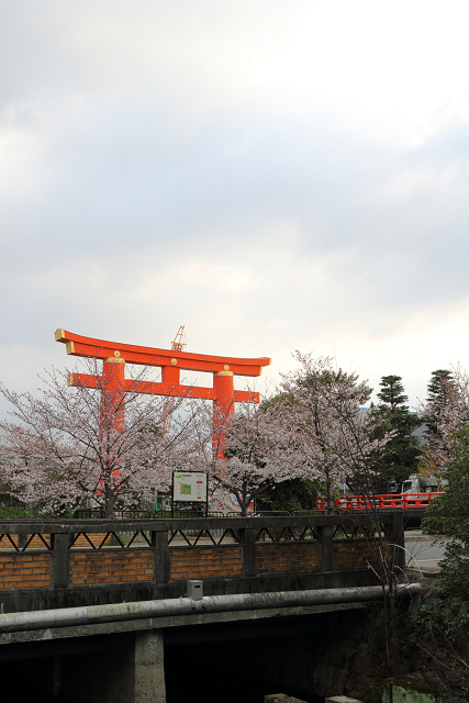 桜の京都2019 －平安神宮 桜の神苑早朝特別参拝（前編）－_b0169330_23423758.jpg