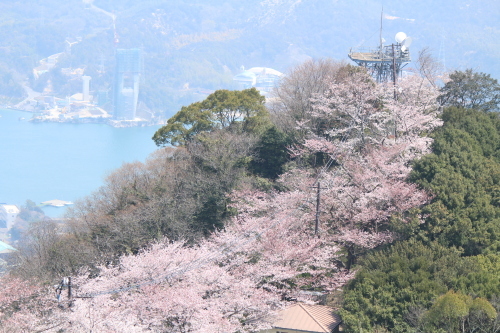 お花見登山③頂上へ_a0345833_22011620.jpg