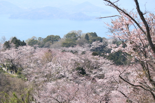 お花見登山③頂上へ_a0345833_22021682.jpg