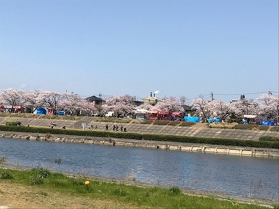 海蔵川桜並木 モトスペースのニュース