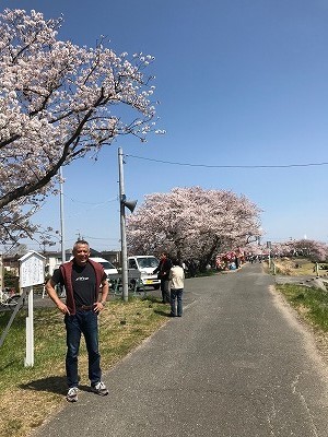 海蔵川桜並木 モトスペースのニュース
