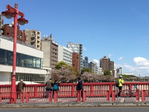 b0330040_15550776.jpeg