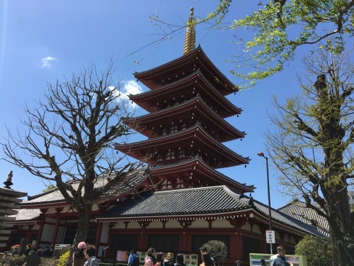 b0330040_16101478.jpeg