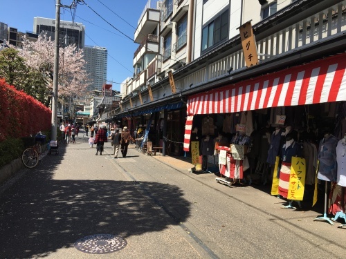 b0330040_16142751.jpeg