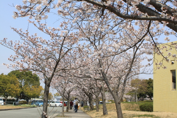 a0269341_07371786.jpg