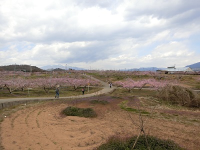f0019247_23403798.jpg