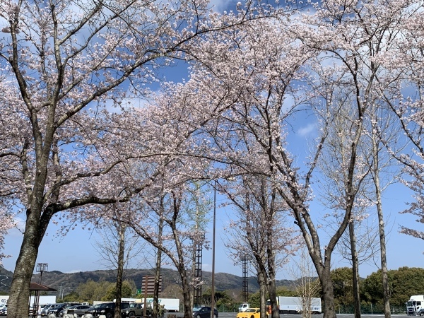 c0353949_11082404.jpeg