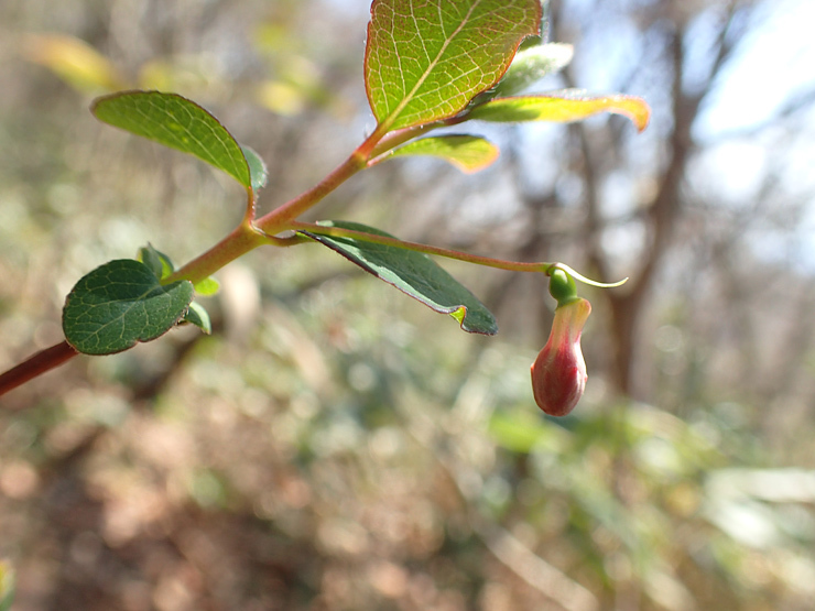f0214649_03351151.jpg