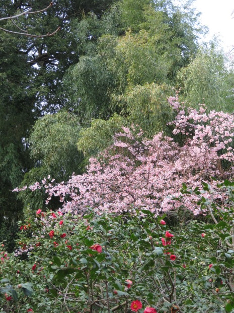 春の花とドット遊びの活花_f0329849_13161577.jpg