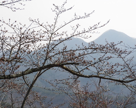 e0172950_2019153.jpg