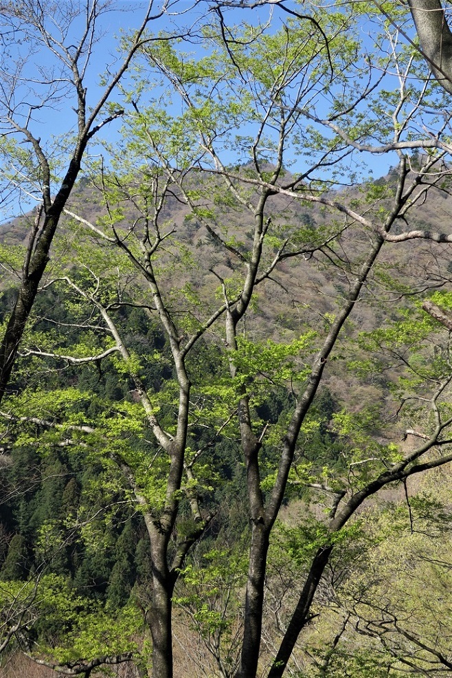 a0286351_17290015.jpg